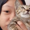 chty_pia