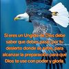 andres79508