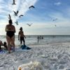 Beach Travel