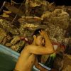 carlanhas14