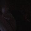 rima.junia4