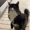 monnin_matkassa0