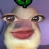 jenneneth
