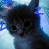 lily31ie