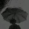 theer0021