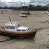 fox83027