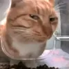 mhhhhha8