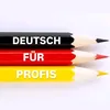 deutschfurprofis