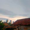 danibarat4