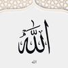 user7443475430477