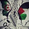 hudhayfah913