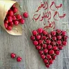amiratahlami57