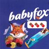 baby_fox_111
