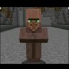 timbiru6