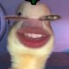 riskympp.00