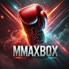 🥊mma🥊