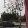 tayri074