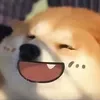 minrg_onichan