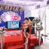trn.th.qu6682