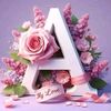 amany.hassan777