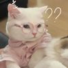 zaniyaa34