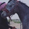 fahadcbq4yu