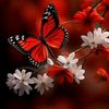 user1852146900513