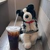 skz_pupz