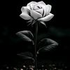 user6572603186074