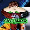 soygaviblox