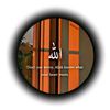 noura44484