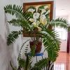 maria.de.la.luz.g302