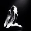 numeria_key