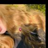 marouadz3