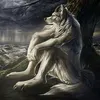 alfanin_teki