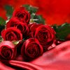 viral_trending_foryou