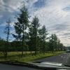 simi.moldovan2