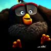bombfromangrybird