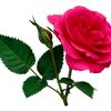 huzaima7276