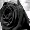 marcela_almaraz_123