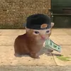 swag.cat.adora.skate