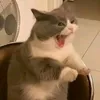 un_lointain_souvebtr_17