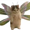 sophiahoch6