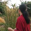 sri.wati8351