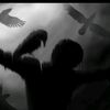 naty.shadow