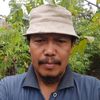 mas.balong