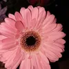 heike.nickel5