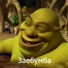 yolozuf_fjd