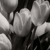 one_day896