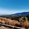 saad.elbeidi
